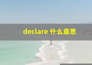 declare 什么意思